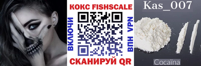Cocaine Fish Scale  гидра ссылка  Лихославль 