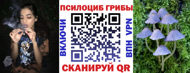 продажа наркотиков  Лихославль  Галлюциногенные грибы мухоморы 